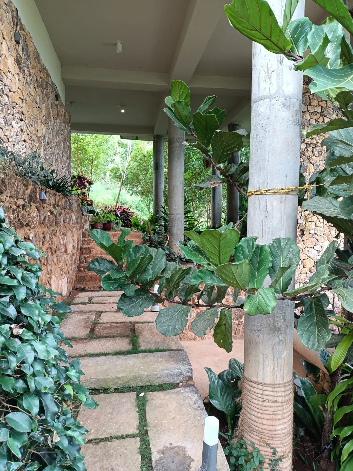 Yercaud Guest House gallery image 12