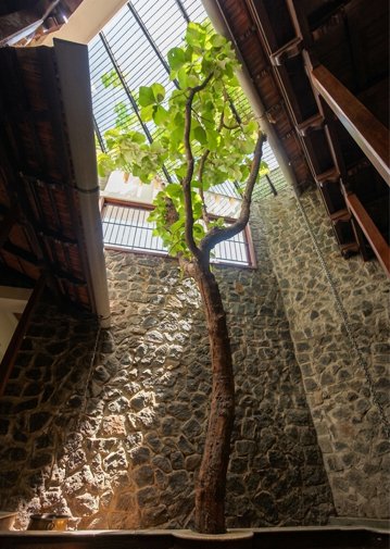 Kutralam Guest House