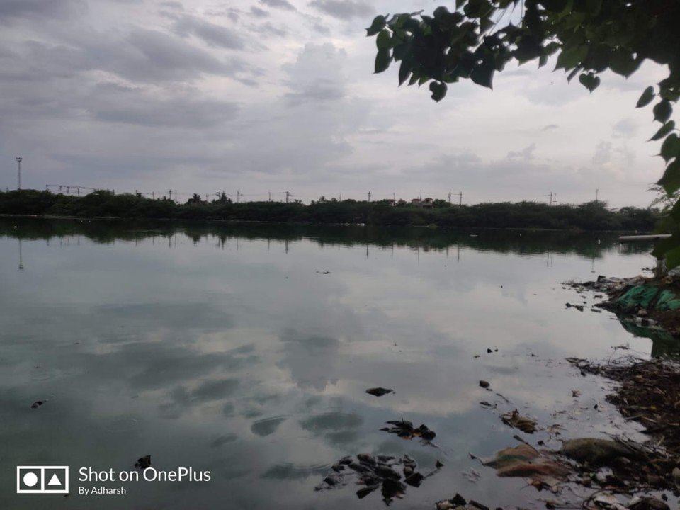 KOLLANKULAM REVITALIZATION image 4