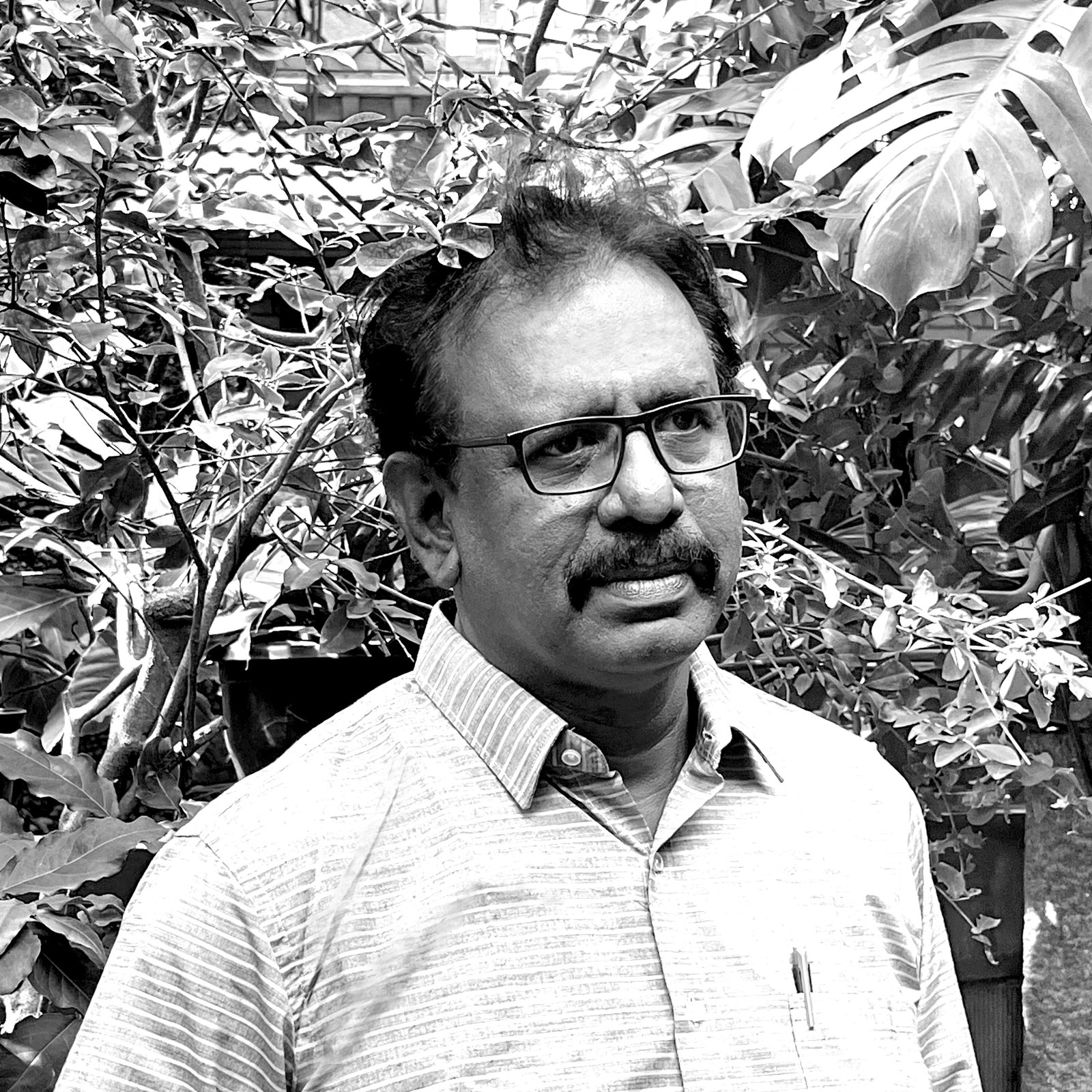 w-100 h-100 rounded-sm